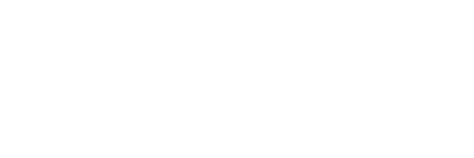 brander logo-04