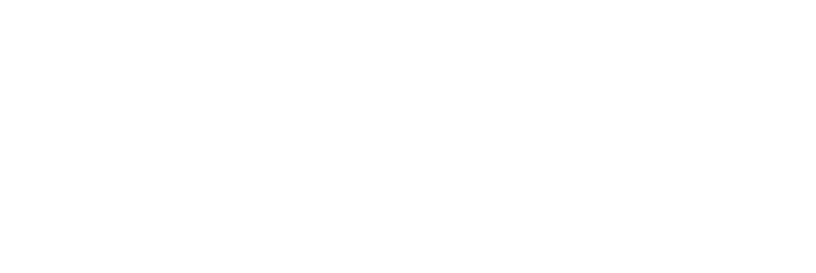 brander logo-04