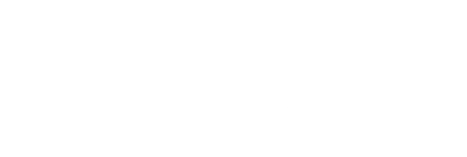 brander logo-04